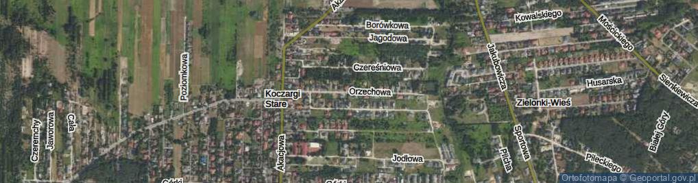 Zdjęcie satelitarne Orzechowa ul.